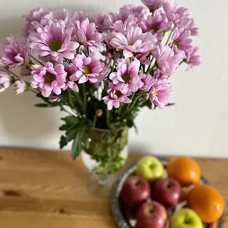 Apartment Elsasser Haus - 2 Zimmer, 4 Betten, 5 Personen, Kontaktloses Einchecken, Netflix Wuppertal