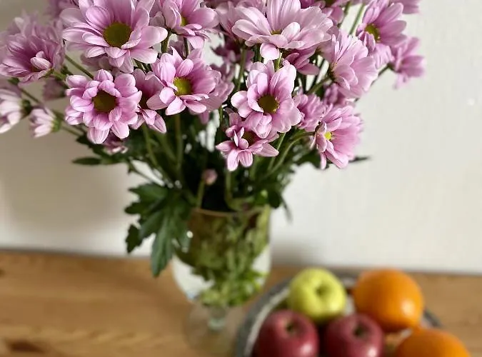 Appartement Elsasser Haus - 2 Zimmer, 4 Betten, 5 Personen, Kontaktloses Einchecken, Netflix Wuppertal